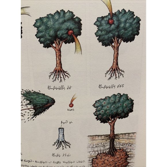 Luigi Serafini Framable Print Unframed - Picture 3 of 8